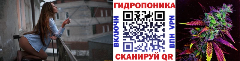 Как найти наркотики Новозыбков ГАШ  МЕФ 