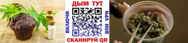 дарнет шоп  Новозыбков  Еда ТГК марихуана 