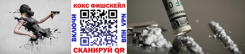 купить наркотик  Новозыбков  Кокаин FishScale 